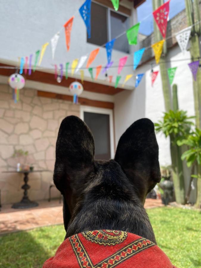 Casa Mayo B&B Oaxaca Екстер'єр фото